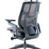 Ergoman Chair