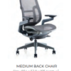 Ergoman Chair - Image 2