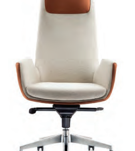 Josh Chair