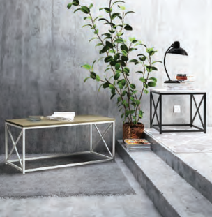 #1 Coffee Table